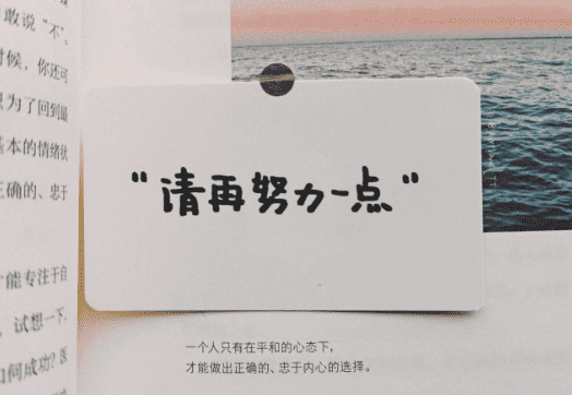 属于你的玫瑰一定会来。