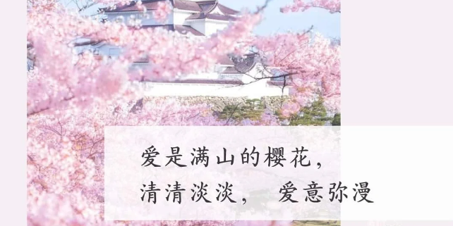 一些关于樱花的小众浪漫朋友圈文案句子-第3张图片-温柔治愈励志文案网