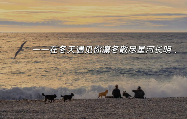 关于1月的浪漫朋友圈文案-第4张图片-温柔治愈励志文案网