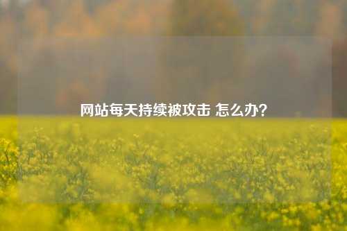 网站每天持续被攻击 怎么办？