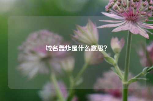 域名轰炸是什么意思？