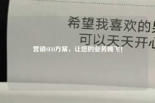 营销SEO方案，让您的业务腾飞！