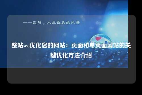 整站seo优化您的网站：页面和单页面网站的关键优化方法介绍