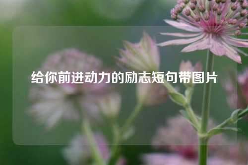 给你前进动力的励志短句带图片