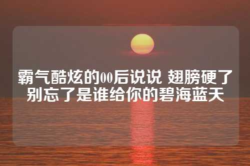 霸气酷炫的00后说说 翅膀硬了别忘了是谁给你的碧海蓝天