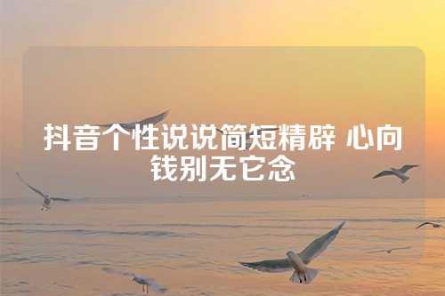 抖音个性说说简短精辟 心向钱别无它念