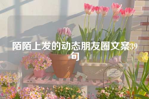 陌陌上发的动态朋友圈文案39句-第1张图片-温柔治愈励志文案网