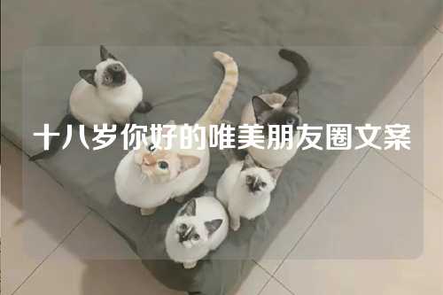 十八岁你好的唯美朋友圈文案