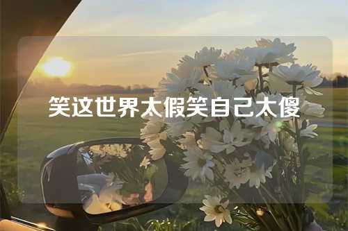 笑这世界太假笑自己太傻