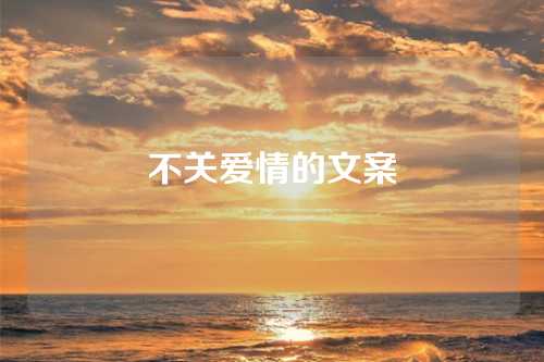不关爱情的文案