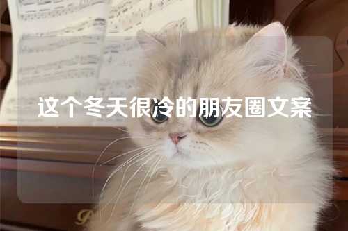 这个冬天很冷的朋友圈文案