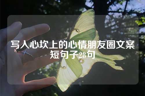 写入心坎上的心情朋友圈文案短句子28句