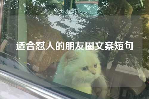 适合怼人的朋友圈文案短句