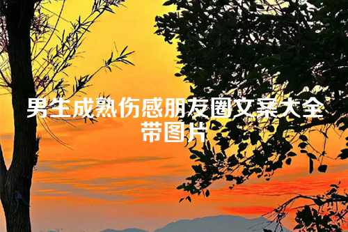 男生成熟伤感朋友圈文案大全带图片