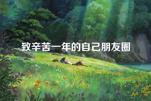致辛苦一年的自己朋友圈
