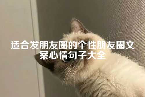 适合发朋友圈的个性朋友圈文案心情句子大全