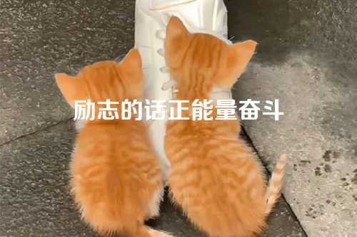 励志的话正能量奋斗
