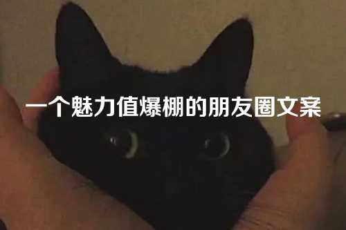 一个魅力值爆棚的朋友圈文案-第1张图片-温柔治愈励志文案网