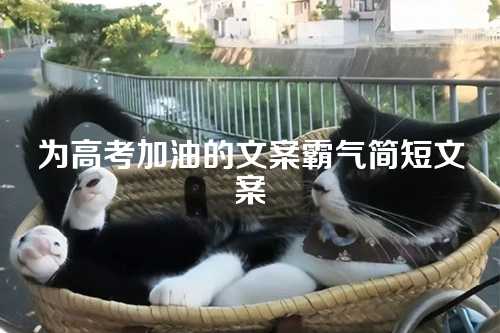 为高考加油的文案霸气简短文案
