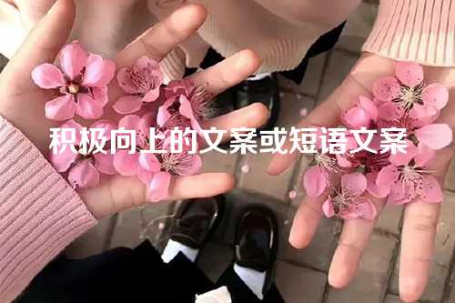 积极向上的文案或短语文案