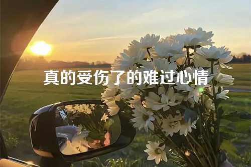 真的受伤了的难过心情