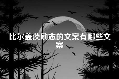 比尔盖茨励志的文案有哪些文案