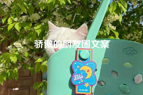 骄傲的朋友圈文案