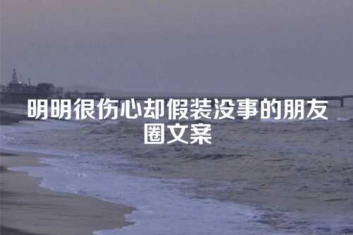 明明很伤心却假装没事的朋友圈文案