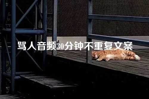 骂人音频30分钟不重复文案-第1张图片-温柔治愈励志文案网