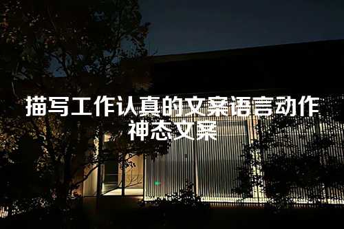 描写工作认真的文案语言动作神态文案-第1张图片-温柔治愈励志文案网