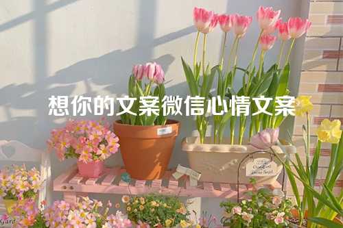想你的文案微信心情文案-第1张图片-温柔治愈励志文案网