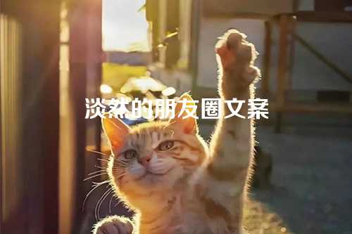 淡然的朋友圈文案