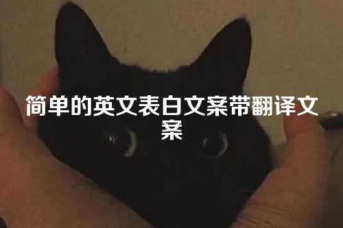 简单的英文表白文案带翻译文案
