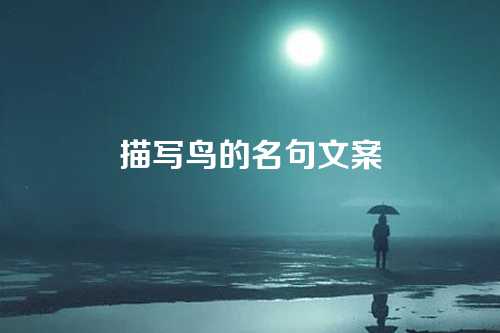 描写鸟的名句文案