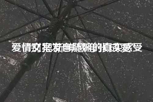 爱情文案发自肺腑的真实感受