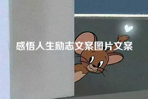 感悟人生励志文案图片文案