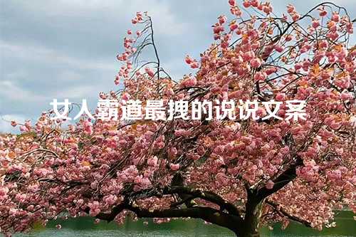 女人霸道最拽的说说文案