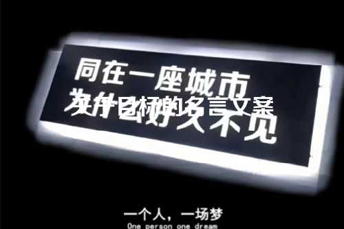 关于目标的名言文案-第1张图片-温柔治愈励志文案网