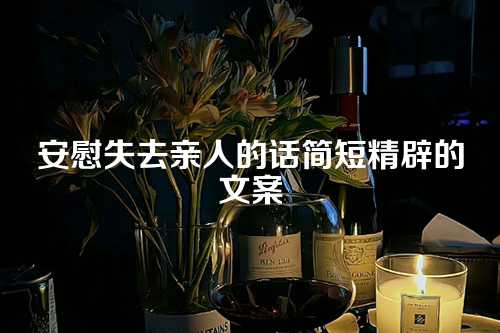 安慰失去亲人的话简短精辟的文案-第1张图片-温柔治愈励志文案网