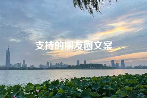 支持的朋友圈文案-第1张图片-温柔治愈励志文案网
