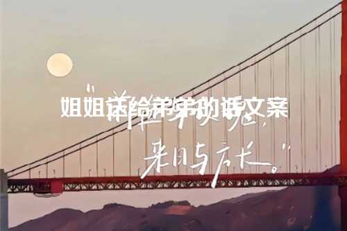 姐姐送给弟弟的话文案