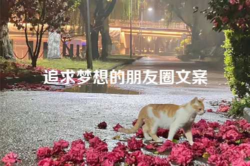 追求梦想的朋友圈文案-第1张图片-温柔治愈励志文案网