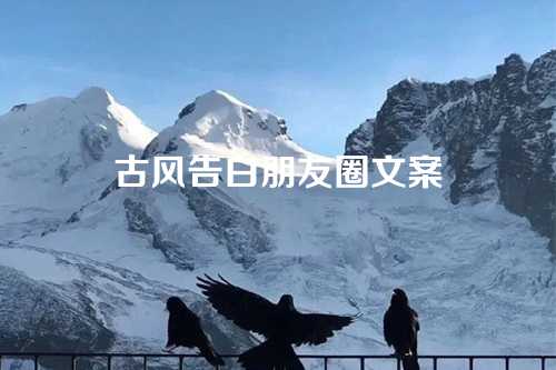 古风告白朋友圈文案