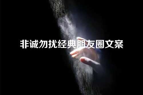 非诚勿扰经典朋友圈文案-第1张图片-温柔治愈励志文案网