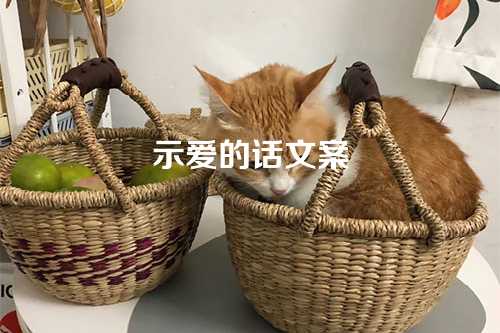 示爱的话文案-第1张图片-温柔治愈励志文案网