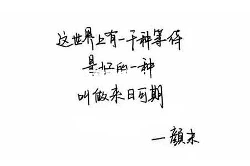 优美文案摘抄和赏析文案