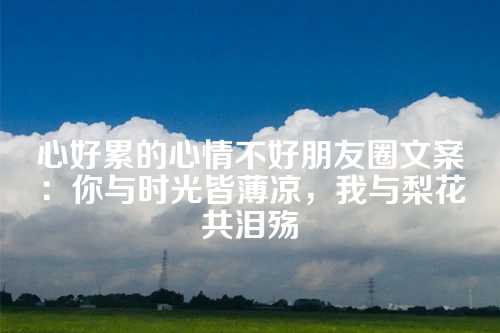 心好累的心情不好朋友圈文案：你与时光皆薄凉，我与梨花共泪殇-第1张图片-温柔治愈励志文案网