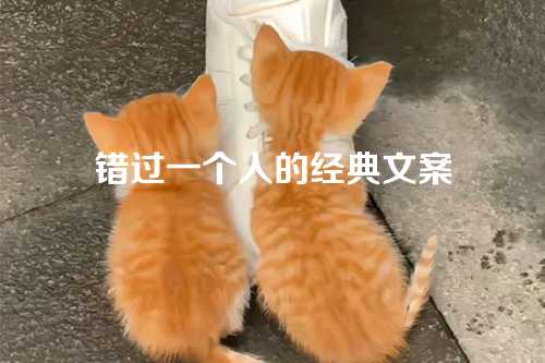 错过一个人的经典文案-第1张图片-温柔治愈励志文案网
