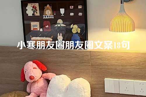 小寒朋友圈朋友圈文案18句-第1张图片-温柔治愈励志文案网