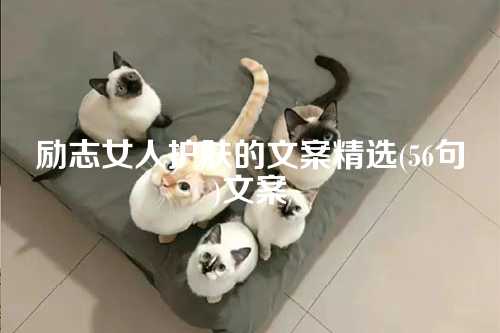 励志女人护肤的文案精选(56句)文案-第1张图片-温柔治愈励志文案网